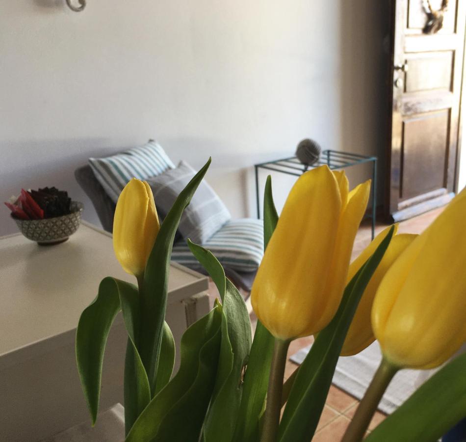 Cochili Rooms & Apartments 阿佐里姆诺斯 外观 照片